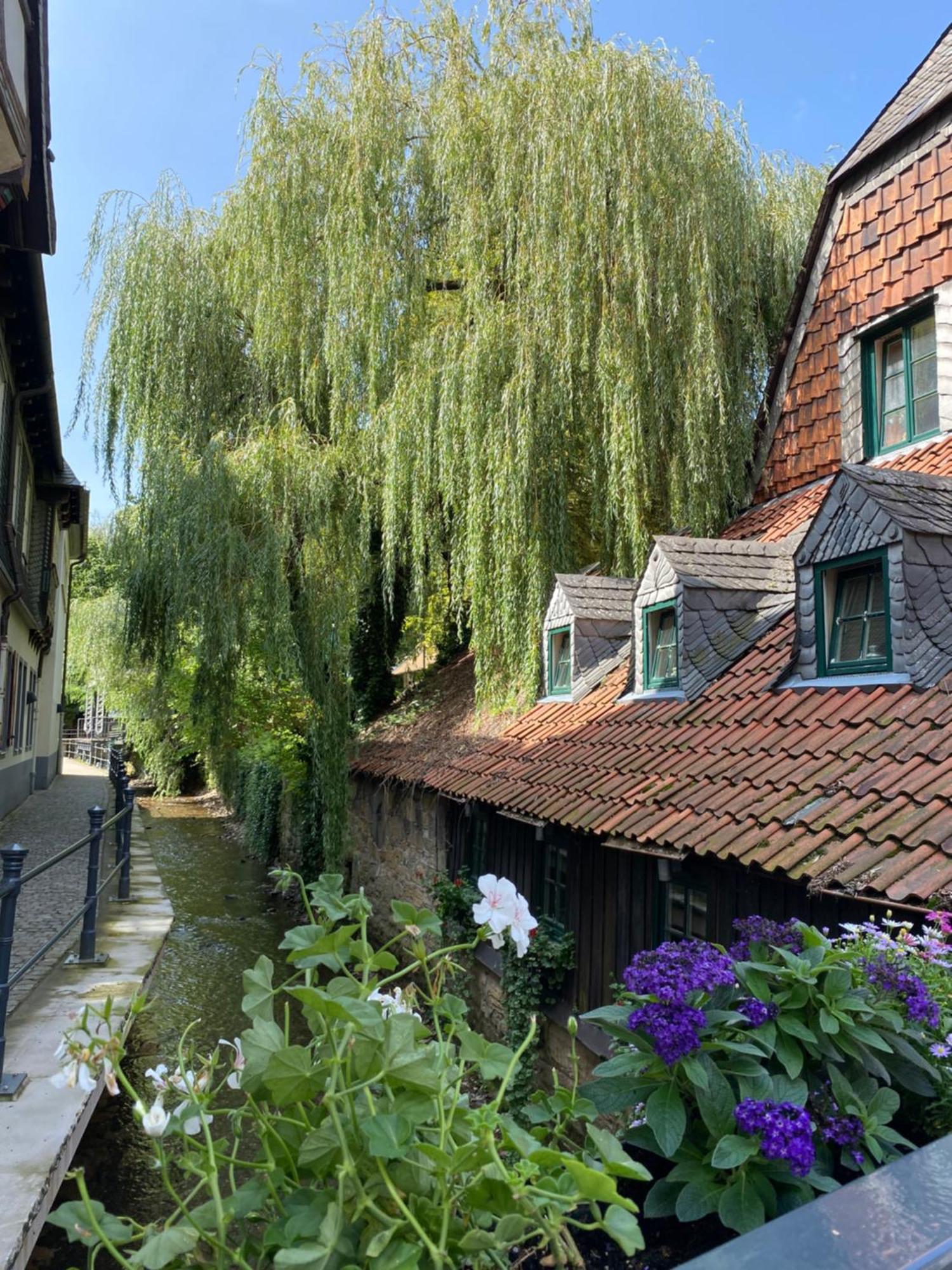 Fewo Georgenberg Goslar Esterno foto