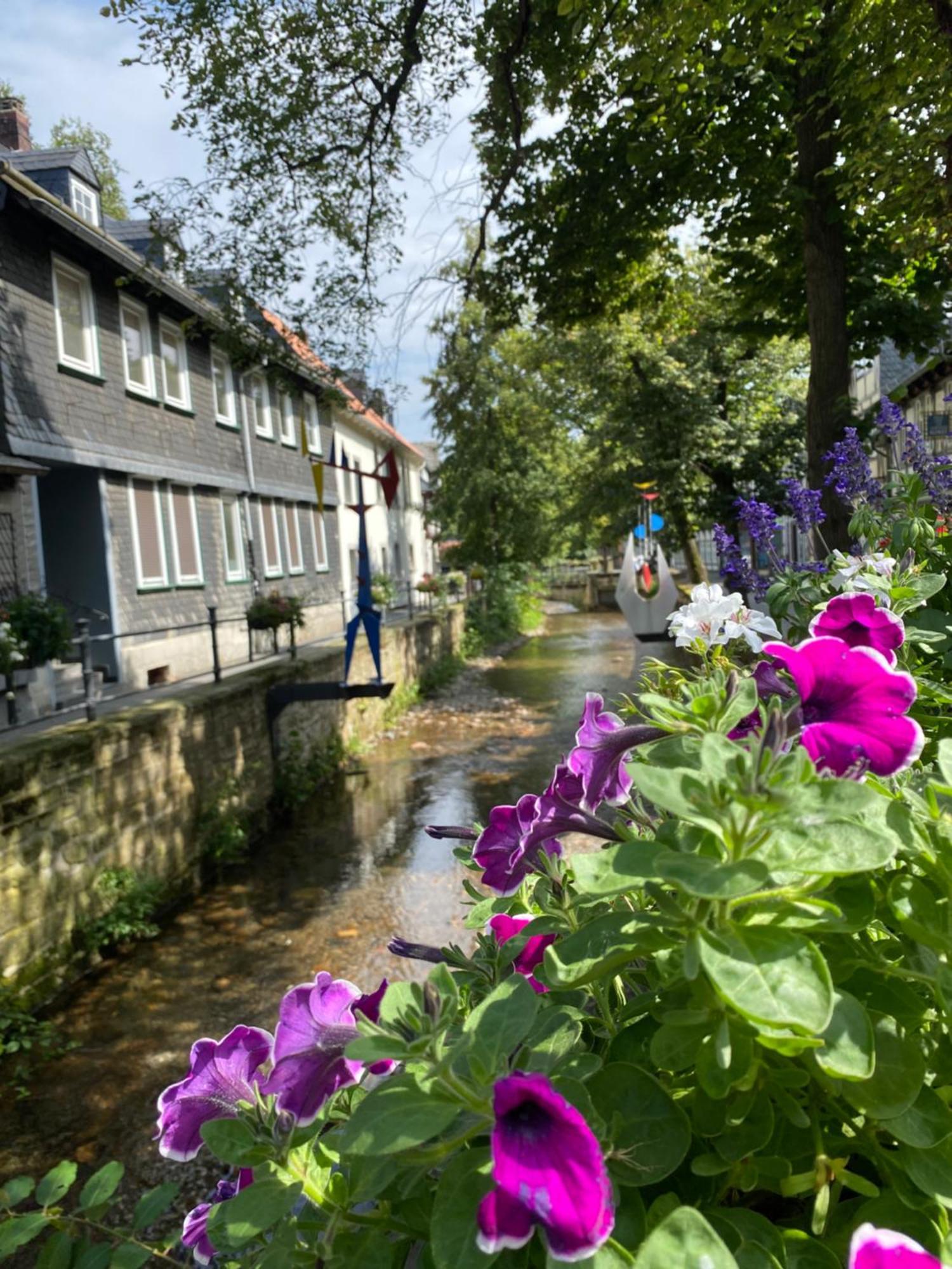 Fewo Georgenberg Goslar Esterno foto