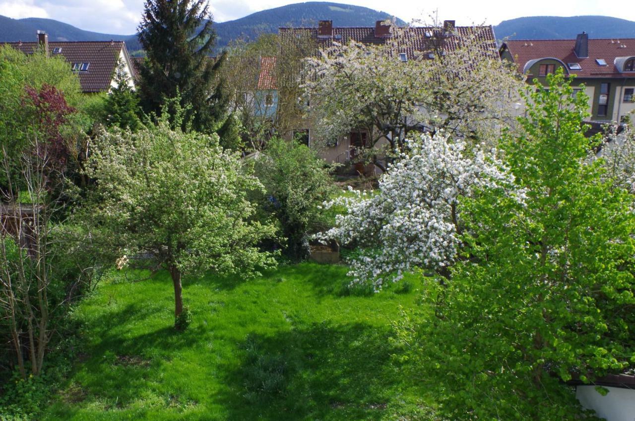 Fewo Georgenberg Goslar Esterno foto